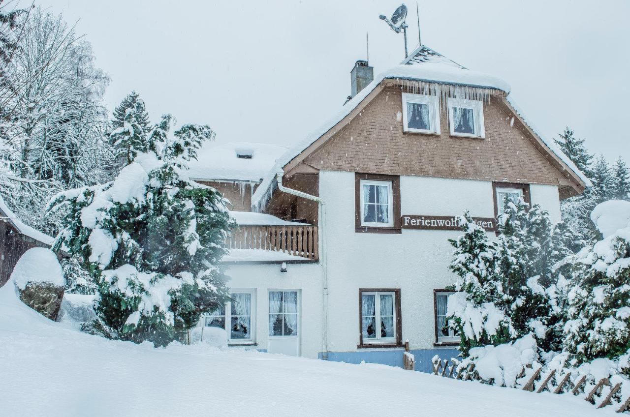 Schwarzwald Apartments Im Haus Tanneck - Feldberg - Titisee Eksteriør billede